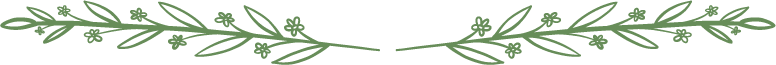 Horizontal Branch
